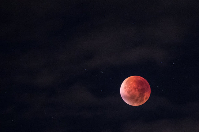 The best ways to celebrate Moon Festival